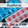 Avaforce new14